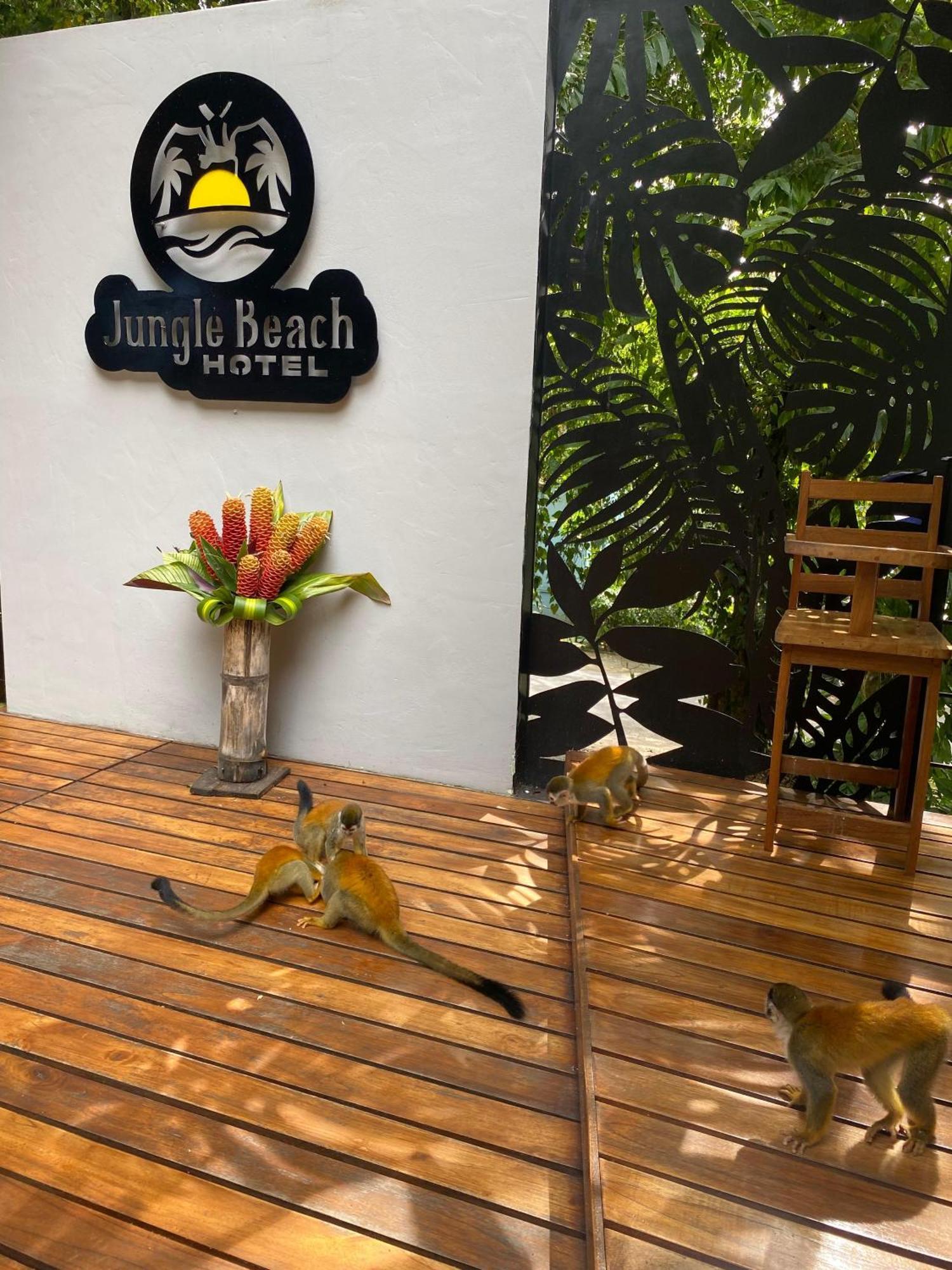 Jungle Beach Hotel Manuel Antonio Extérieur photo