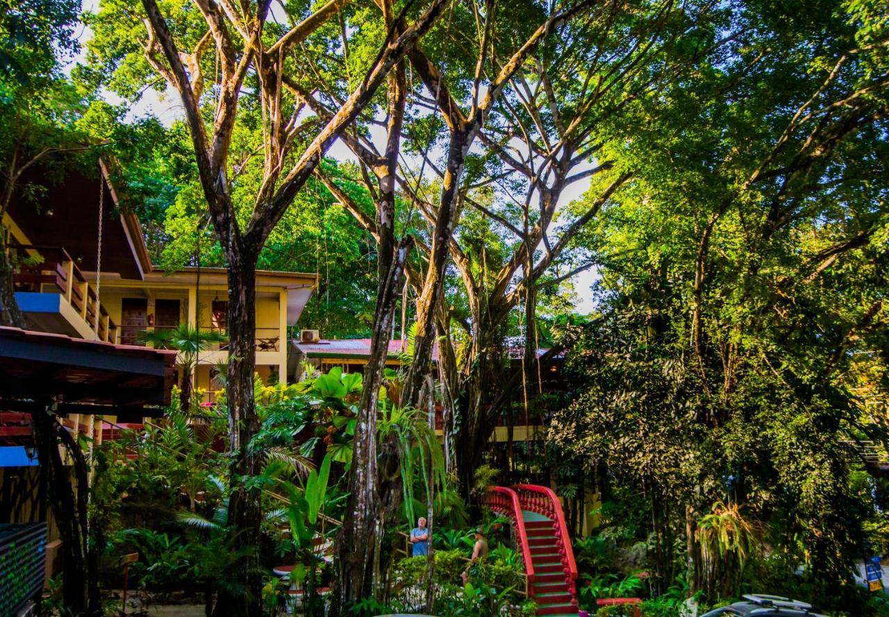 Jungle Beach Hotel Manuel Antonio Extérieur photo